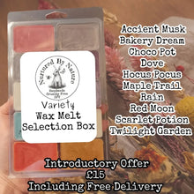 Load image into Gallery viewer, Wax Melt Selection Box - Introductory Offer Free Delivery