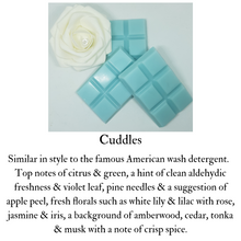 Load image into Gallery viewer, 6sq Wax Melts Bar
