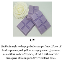 Load image into Gallery viewer, 6sq Wax Melts Bar