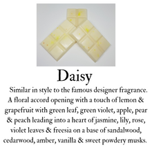 Load image into Gallery viewer, 6sq Wax Melts Bar