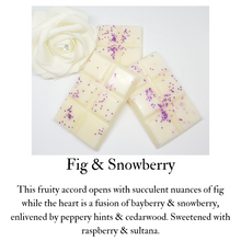 Load image into Gallery viewer, 6sq Wax Melts Bar