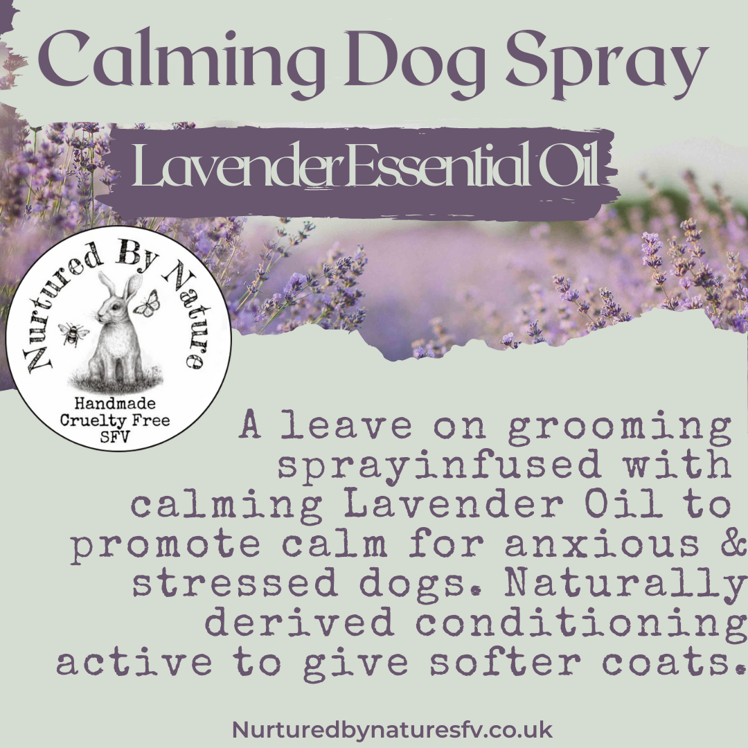 Essential oil 2024 dog spray